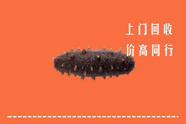 高价求购：容城县回收海参